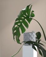 MGK Rap Devil Instrumental (Eminem Diss) Prod - Sound