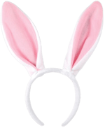 The Figure-Roan Doors