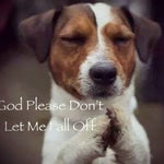 So..I was taking a walk the other day-