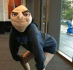 Gratata vine original