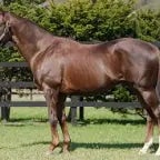 marvelous sunday time