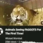 I need more Boulets (copy)