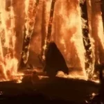 burning down forest