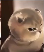 ZA WARUDO TOKI WO TOMARE!