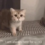 with you