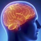 long brain fart (boom)