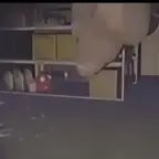 R.E.P.O Bla bla bla bluh bluh bluh blu blu blu