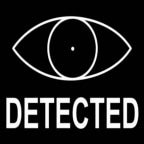 pedestriant detected