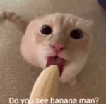 Banana man 2