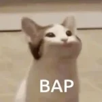 Bap