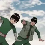 ROCK LEE NUT