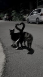 (free for profit) ken carson x f1lthy type beat T4LK#SH1T fR3eS