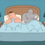 WHY DIDNT YOU LOOK AT ME DURING?