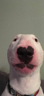 home depot theme song