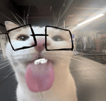 Bashame lingang guli guli