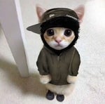 I was never book smart fnf background sound