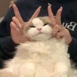 Trevor Daniel Falling pt 1