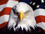 Eagle earrape