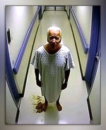 panino del dio melanzana (earrape)