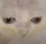 all for nothing at all