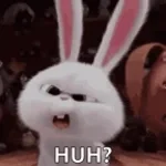 Americans Trying To Understand Aussies