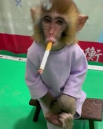 EXTREME LOUD INDIAN MUSIC! - Sound