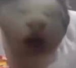 Enchantment table Sounds