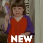 Recording 02/17/26 15:16:49