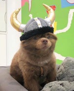 K3 HardStyle (EarRape)