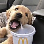 Abunda La KAKA Dembow 2022 (Video Oficial)