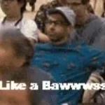 impractical like a boss