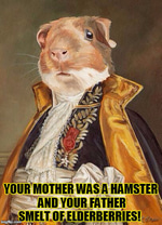 your mother was a hamster and your father smelt of elderberries