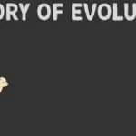 La Théorie de lévolution