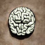 I May Not Have A Brain