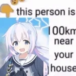 Resia brainrot christmas edition