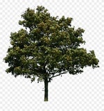 WYPIERDALAJ Z POSESJI