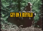 guy on a buffalo