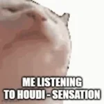 HOUDI - SENSATION