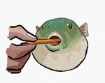 puffer fish