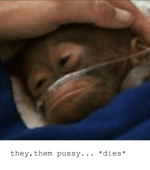 Fart with reverb sound effect Copy