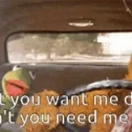 queres q te la ponga