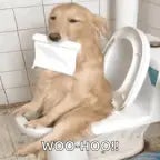 BRUIT DE DIARRHÉE EXPLOSIVE