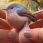 stop-mne-ne-priiatno