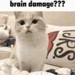 are you okay