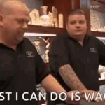 Thank you for shopping at wawa - Sound