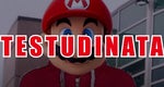 TESTUDINATA