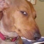 sound effect(rage) - Sound