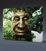 chris says give it to me