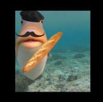 France Meme - Traditionell Musette