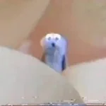 marshmallow puppet augh